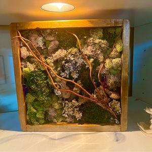 This is my true passion in life making beautiful moss walls, all custom.